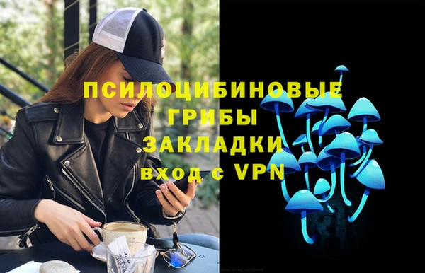 гашик Волоколамск