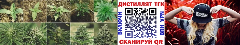 Дистиллят ТГК вейп с тгк  как найти наркотики  Грозный 