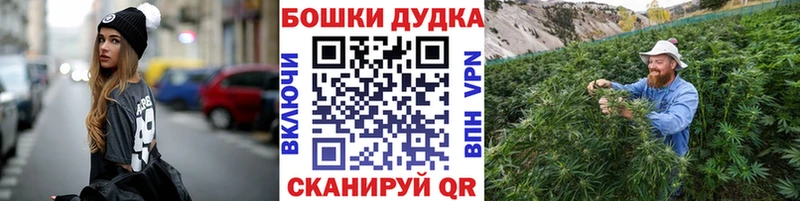 Конопля семена  где продают   Грозный 